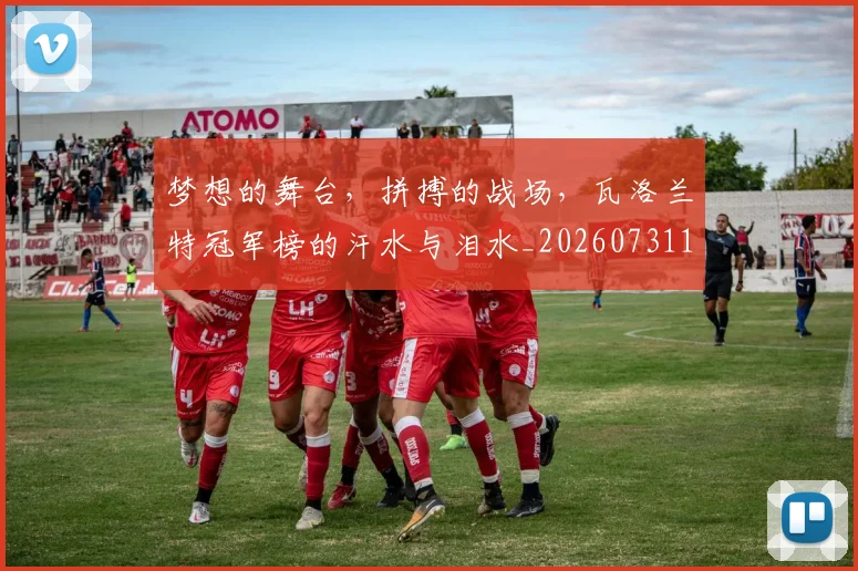 梦想的舞台，拼搏的战场，瓦洛兰特冠军榜的汗水与泪水_20260731183221