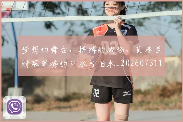 梦想的舞台,拼搏的战场,瓦洛兰特冠军榜的汗水与泪水_20260731183221